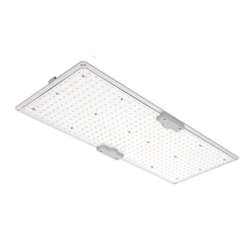 IP65-Scheinwerfer - LGLBO - kindom opto-electronic co.,ltd - LED / Objekteinrichtung / für den Innenraum
