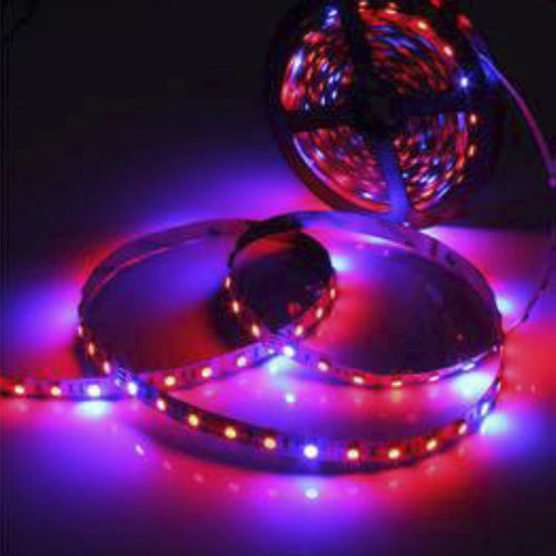 LED-Band - KD-LGL - kindom opto-electronic co.,ltd