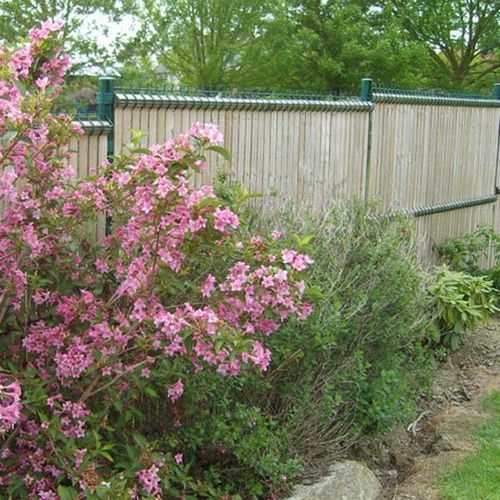 Lamellen-Sichtschutz - BEKAFOR NYLOFOR COLLFORT - Betafence International - Kiefer / modular