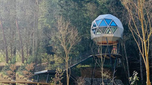 Fertigbauhaus - DOME - NingBo DeepBlue Smarthouse Co.,LTD. - Baumhaus / modern / individuell