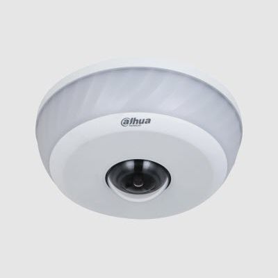 PTZ-Sicherheitskamera - IPC-EB81242-PD - Zhejiang Dahua Technology Co.,Ltd. - Dom / Einbau / für Außenbereich