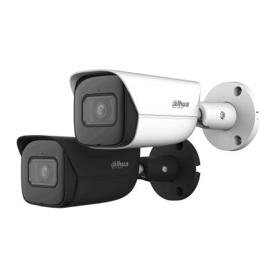 IP-Sicherheitskamera - IPC-HFW3441E-AS-S2 - Zhejiang Dahua Technology Co.,Ltd. - Stift / Einbau / für Außenbereich