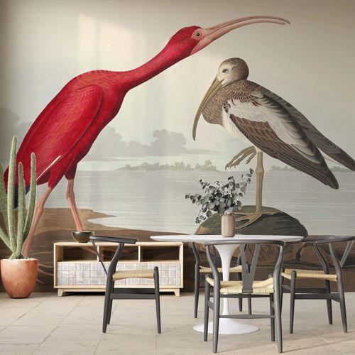 Moderne Tapete - SCARLET IBIS - Kam et Leon - Vlies / Vinyl / Tiermotiv