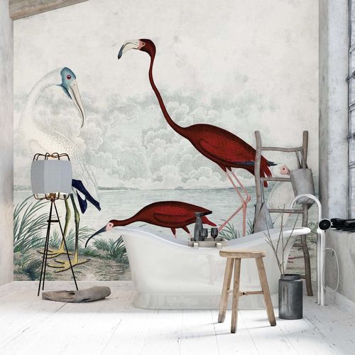 Stil-Tapete - GRAVURE D&rsquo;OISEAUX EXOTIQUES - Kam et Leon - Vlies / Vinyl / Tiermotiv
