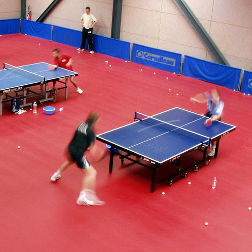 Sportboden für den Innenraum - TARAFLEX® TABLE TENNIS - Gerflor - Contract Sport & Contract Flooring - PUR / PVC / Glasfaser