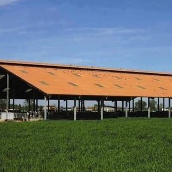 Schrägdachplatte - PLAKFORT 6 COLORPLUS - EDILFIBRO - PVA / Schieferoptik / Metalloptik