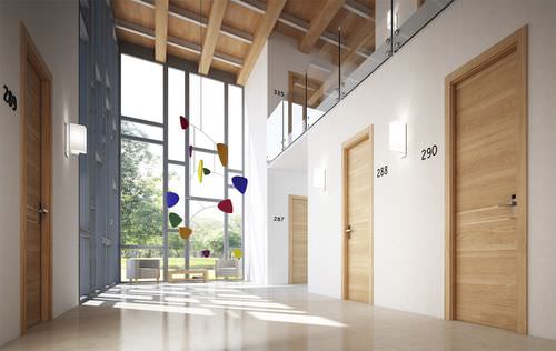 Tür für Innenbereich - Gdesign REI 60: 2F - GAROFOLI - Holz / einflügelig / ohne Verglasung