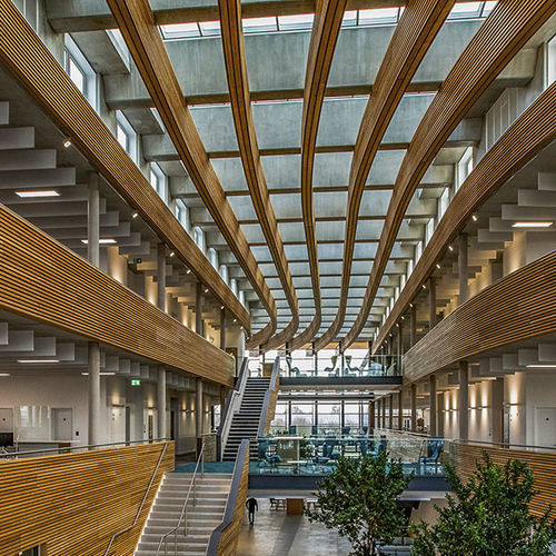 Stationärer Dachverglasung - ATRIUM LONGLIGHT/RIDGELIGHT - VELUX - Glasfaser / Polyurethan