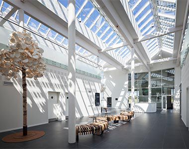 Dachoberlicht - VELUX - für Fassadenverkleidung / für Photovoltaik-Anlage / mit Doppelverglasung