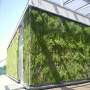 Wandbegrünung für Außenbereich - SOPRANATURE® VIVAGREEN® - SOPREMA - Modularbaustrukturen