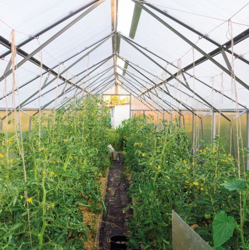 Rund-Dachplatte - CARBO ONDA® - SEDPA - Polycarbonat / Stegplatten / dämmend