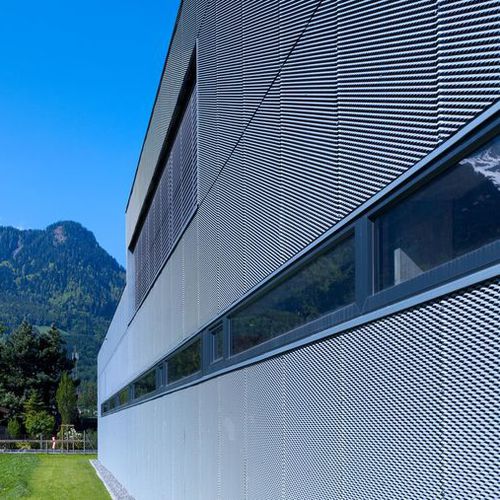 Paneel-Fassadenverkleidung - SURFACE DESIGN  - RHEINZINK - Zink / Titan / Lochblech