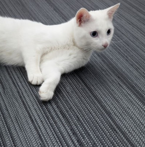 Vinyl-Bodenbelag - RUMBA PLUS - Hellsten Flooring - für den Innenraum / für Büro / für Hotels