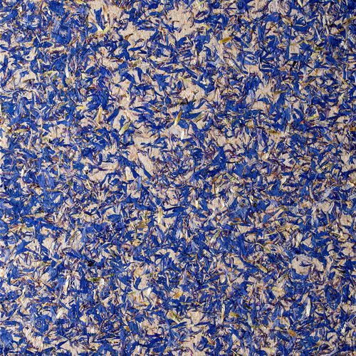 Verkleidungspaneel - BLEUETS - OBERFLEX - Wand / hochwiderstandsfähig / flexibel