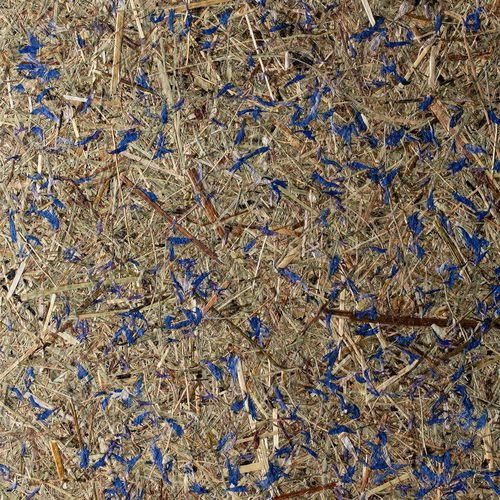 Verkleidungspaneel - ALPAGE & BLEUETS - OBERFLEX - Wand / hochwiderstandsfähig / flexibel