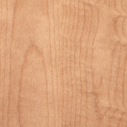 Feuerfestes Holzpaneel - SYCAMORE T800 - OBERFLEX - hochwiderstandsfähig / für Möbel / für Decke
