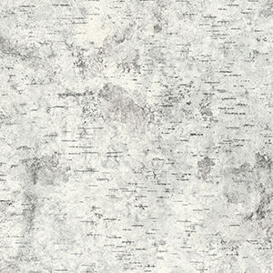 Verkleidungs-Dekorplatte - BIRCHBARK - FORMICA - Möbel / für Innenausbau / hochwiderstandsfähig