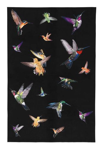 Moderner Teppich - HUMMINGBIRD - The Rug Company - Motiv / Seide / rechteckig