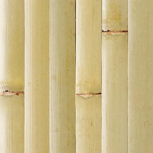 Holzvertäfelung - TAMBOUR : GREEN - Smith & Fong Plyboo