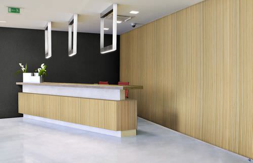 Dekorplatte für Wand - LINEAR LINE PANEL STYLE LL3 - Smith & Fong Plyboo - Bambus / gerillt