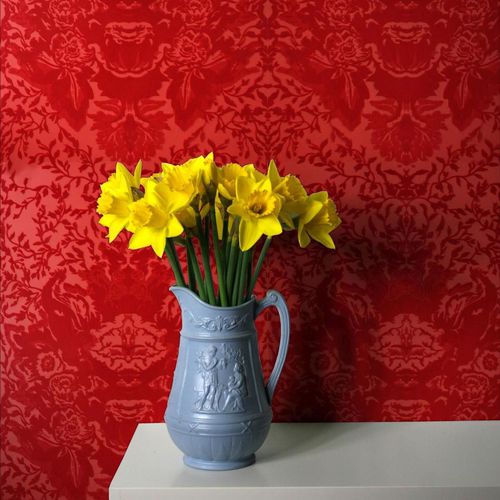 Klassische Tapete - DEVIL DAMASK FLOCK - Timorous Beasties - Barock / schwarz / rot