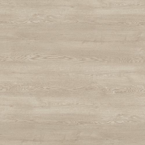 Holzoptik-Dekorlaminat - ASHBEE OAK 17000 - Wilsonart International - texturiert / HPL