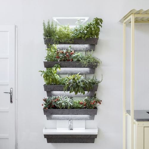 Vertikaler Garten / lebende Pflanzen - Hedera 4 - lightgreen srl - kundenspezifisch / Blumen / für den Innenraum