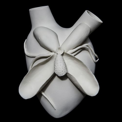 Moderne Vase - PHALAENOPSIS - ELICA STUDIO - Porzellan / Wand / handgefertigt