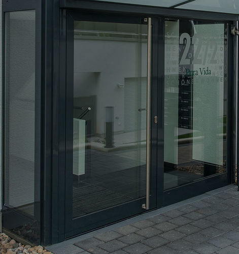 Nebeneingangstür - 92 - Salamander - Aluminium / aus uPVC / einflügelig
