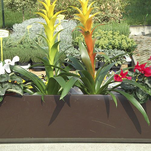 Kunststoff-Pflanzkübel - BIO-FLOWERPOTS  - ecohousesystem - rechteckig / rund / UV-beständig