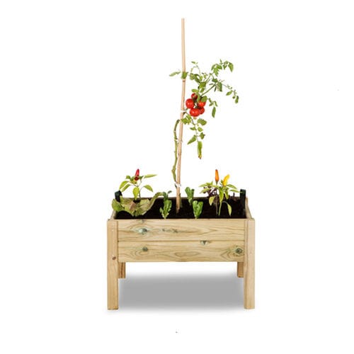 Kiefer-Pflanzkübel - Leo - Hortalia - rechteckig / modern / für städtische Bereiche