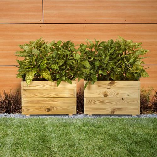 Kiefer-Pflanzkübel - GHIO - Hortalia - rechteckig / modern / für städtische Bereiche