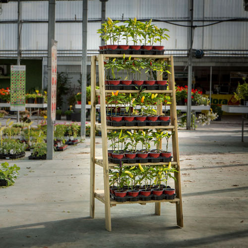 Präsentierregal für Pflanzen - Five-Tier - Hortalia - Holz / doppelseitig / 5 Regalbretter
