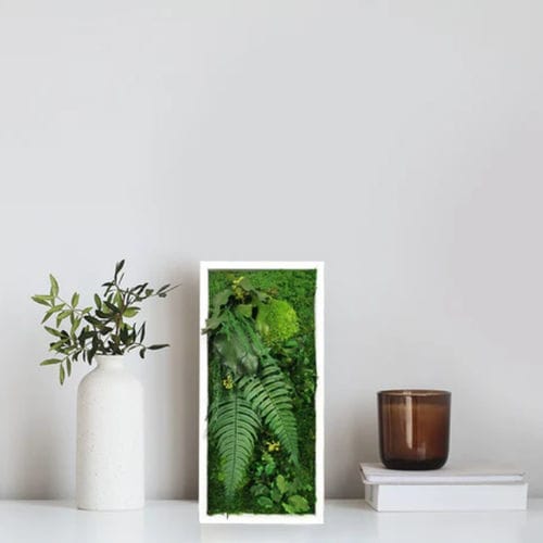 Stabilisierter Pflanzrahmen - ELEGANCE 18X38 - naturall green - Polster Moos / dichtes Blattwerk / Blumen