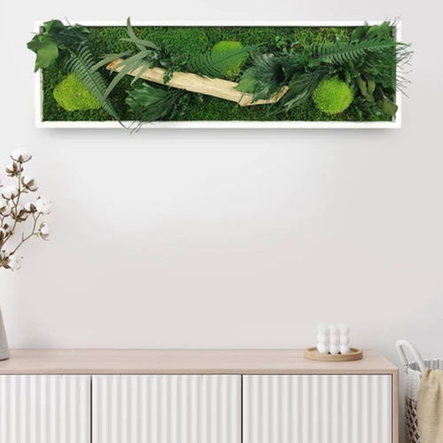 Stabilisierter Pflanzrahmen - 20x70 - naturall green - natürlich / dichtes Blattwerk / für den Innenraum