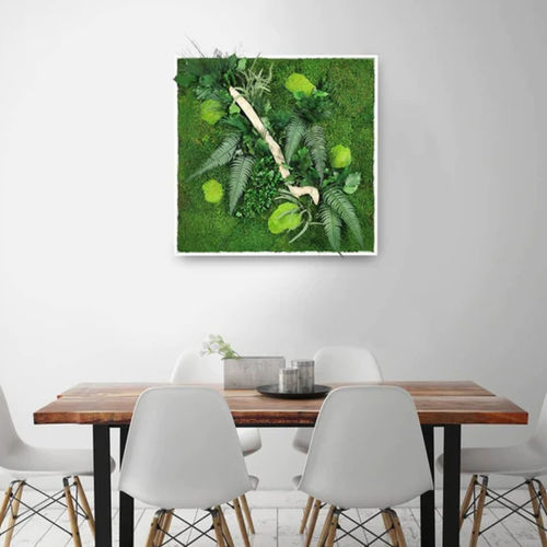 Stabilisierter Pflanzrahmen - 80x80 - naturall green - natürlich / dichtes Blattwerk / für den Innenraum