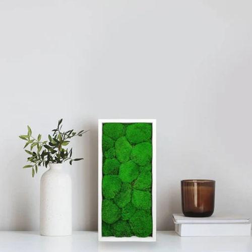 Stabilisierter Pflanzrahmen - STABILIZED 18X38 - naturall green - natürlich / Polster Moos / für den Innenraum