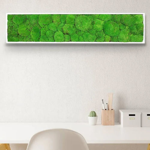 Stabilisierter Pflanzrahmen - STABILIZED 25X115 - naturall green - Polster Moos / natürlich / für den Innenraum