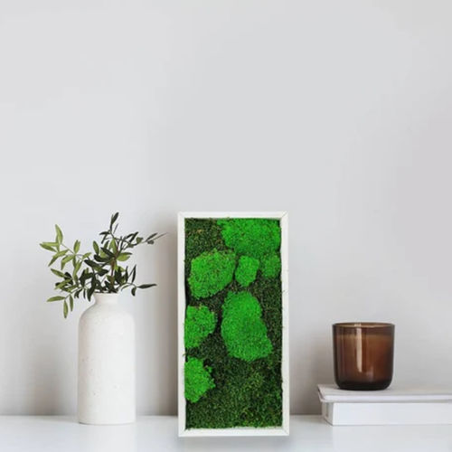 Stabilisierter Pflanzrahmen - 18x38 - naturall green - Polster Moos / natürlich / für den Innenraum