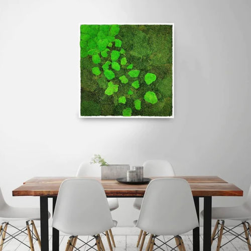 Stabilisierter Pflanzrahmen - 80x80 - naturall green - natürlich / Polster Moos / für den Innenraum