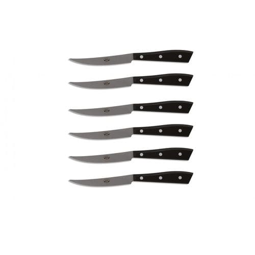 Steakmesser mit Griff aus PMMA - 7 Series - COLTELLERIE BERTI - mit Edelstahlklinge