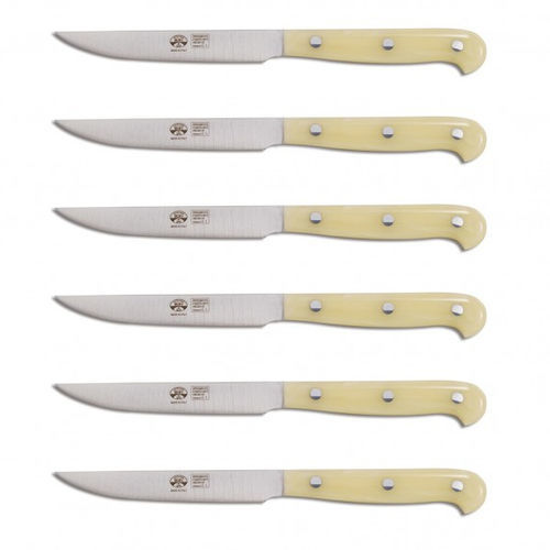 Steakmesser mit Griff aus PMMA - 68 Series - COLTELLERIE BERTI - mit Edelstahlklinge