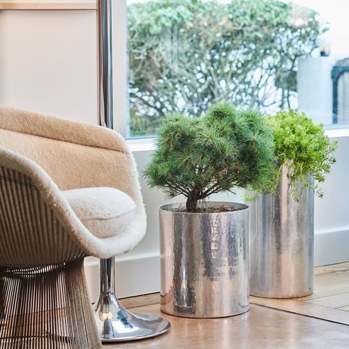 Aluminium-Pflanzgefäß - 210009 - MAUVIEL1830 - zylinderförmig / für Terrasse / farblos