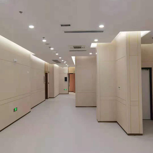 Wand-Laminatpaneel - Changzhou Zhongtian Fire-proof Decorative Sheets Co., Ltd. - für Innenausbau / für Möbel / wasserabweisend