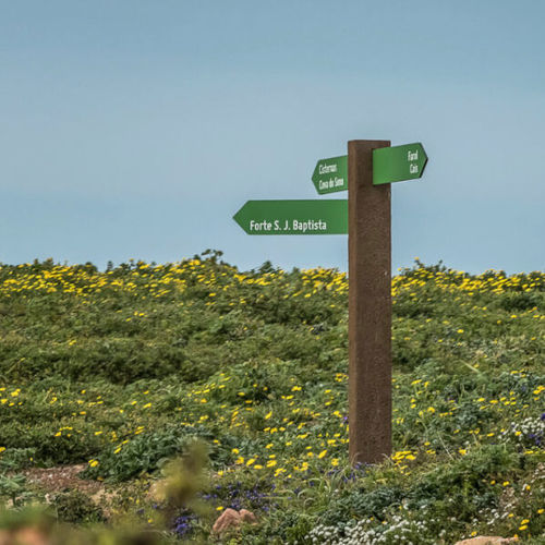 Bodenstehendes Schild - ICNF - Floema - wandmontiert / Verbundwerkstoff / zur Orientierung