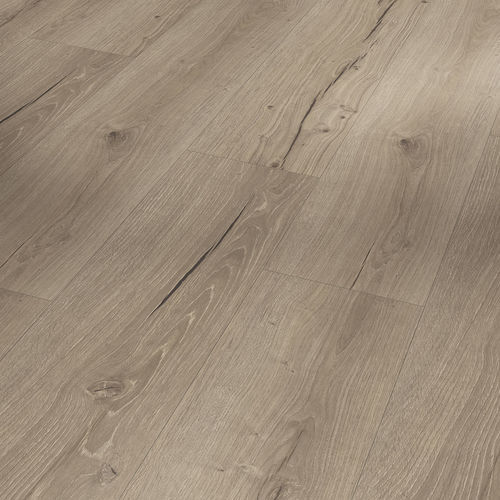 SPC-Bodenbelag - OAK CAMBRIDGE TAUPE  - PARADOR - für den Innenraum / für Wohnbereich / für Büro