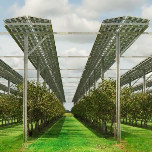 Freiland-Montagesystem - FlexAgri Fruit - voestalpine Sadef nv - Solar / für Photovoltaikmodul