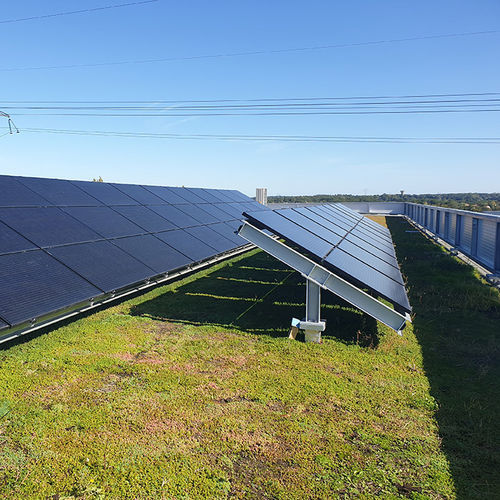 Gründach für Flachdach - BIOSOLAIRE - VEGETEK - mit integrierter Photovoltaikanlage