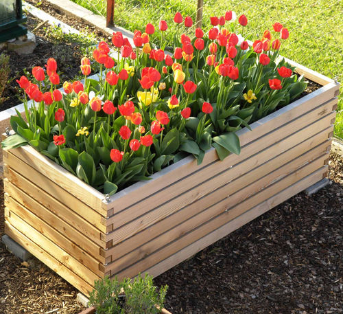 Pflanzkasten für Kräuter / Lärche - Gartenfrosch GmbH - für Privatgebrauch / für Außenbereich / mit integrierter Bewässerung
