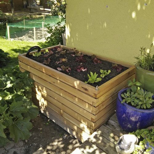 Pflanzkasten für Kräuter / Lärche - Gartenfrosch GmbH - für Privatgebrauch / für Außenbereich / mit integrierter Bewässerung